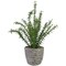 Northlight Real Touch™ Artificial Thyme Plant in Gray Ceramic Pot - 15"